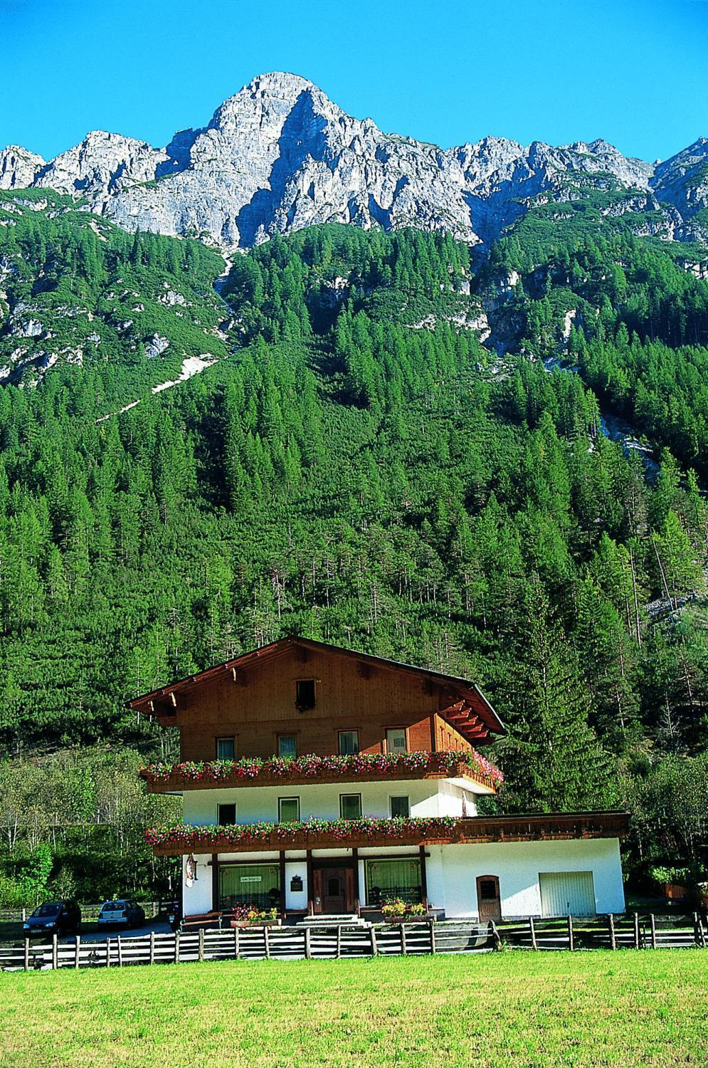Pension Nina & Gasthof Alpenrose سنيتز المظهر الخارجي الصورة